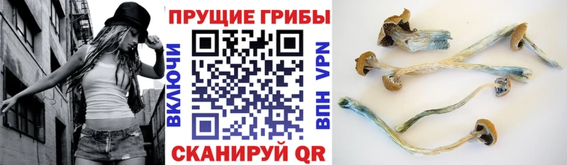 Галлюциногенные грибы MAGIC MUSHROOMS  Яровое 